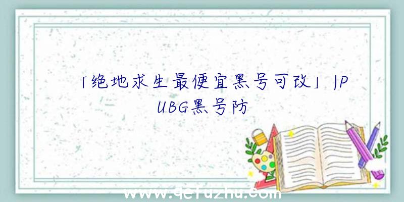 「绝地求生最便宜黑号可改」|PUBG黑号防